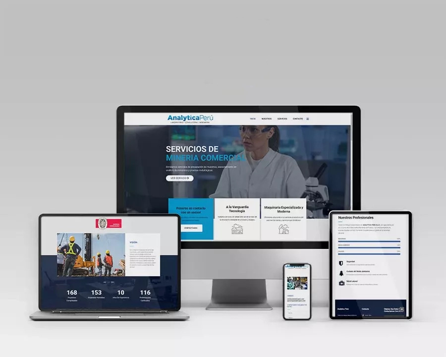 Diseño web de la empresa Analytica Perú