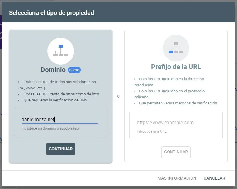 Dominio google search console