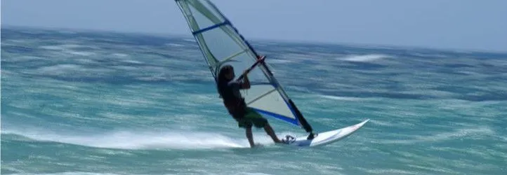 Autoptimize plugin para WordPress